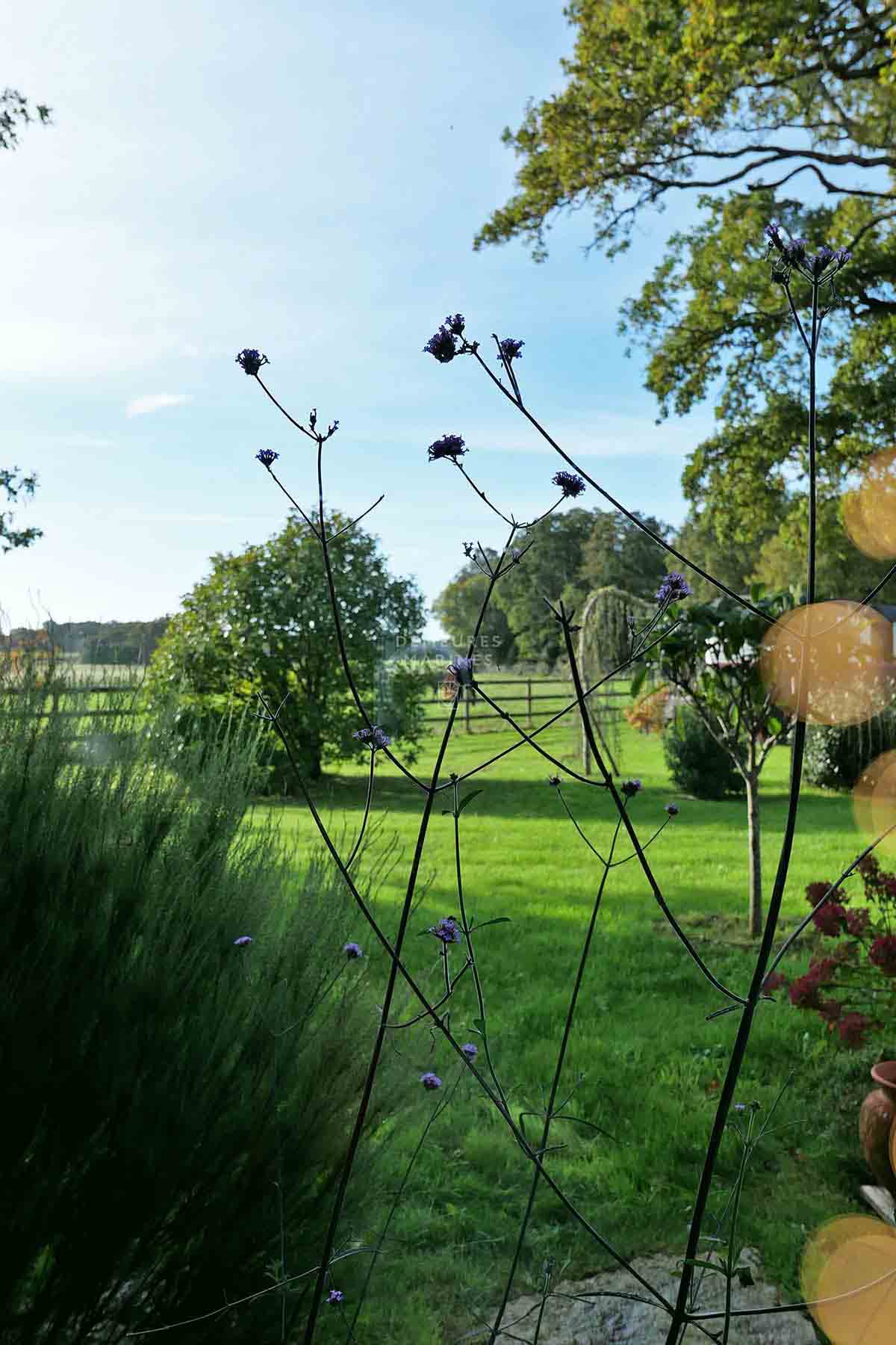 Propriété d'exception Arradon (1)